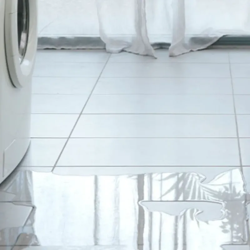 Appliance Leak Cleanup in Lone Jack, MO