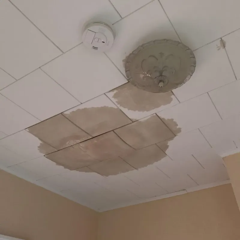 Ceiling Water Damage Repair in Lone Jack, MO